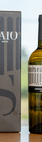 colle asio white wine umbria vino bianco Assisi