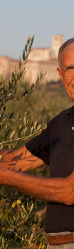 idea regalo originale per compleanno adotta un olivo Assisi umbria