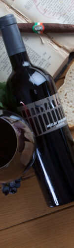 attività in Umbria, cosa fare in Umbria, degustazioni vino in cantina