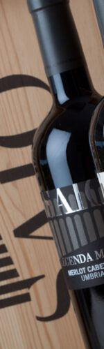 attività in Umbria, cosa fare in Umbria, degustazioni vino in cantina