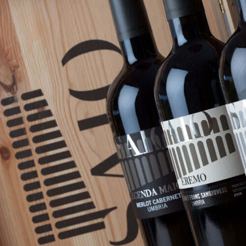 attività in Umbria, cosa fare in Umbria, degustazioni vino in cantina