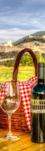 vacanza in umbria, cosa fare in Umbria, attività Assisi, degustazioni in cantina, vino, olio, prodotti tipici umbri, vacanza in Umbria con bambini, vacanza con cane