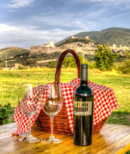 vacanza in umbria, cosa fare in Umbria, attività Assisi, degustazioni in cantina, vino, olio, prodotti tipici umbri, vacanza in Umbria con bambini, vacanza con cane