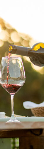 Pic-Nic in Vigna Deluxe per 2 persone con degustazione guidata 5 vini inclusa