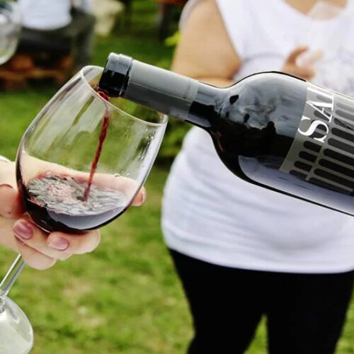 pic nic in vigna degustazioni vino winetasting Assisi Umbria