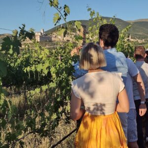 Degustazioni vino e prodotti tipici Assisi