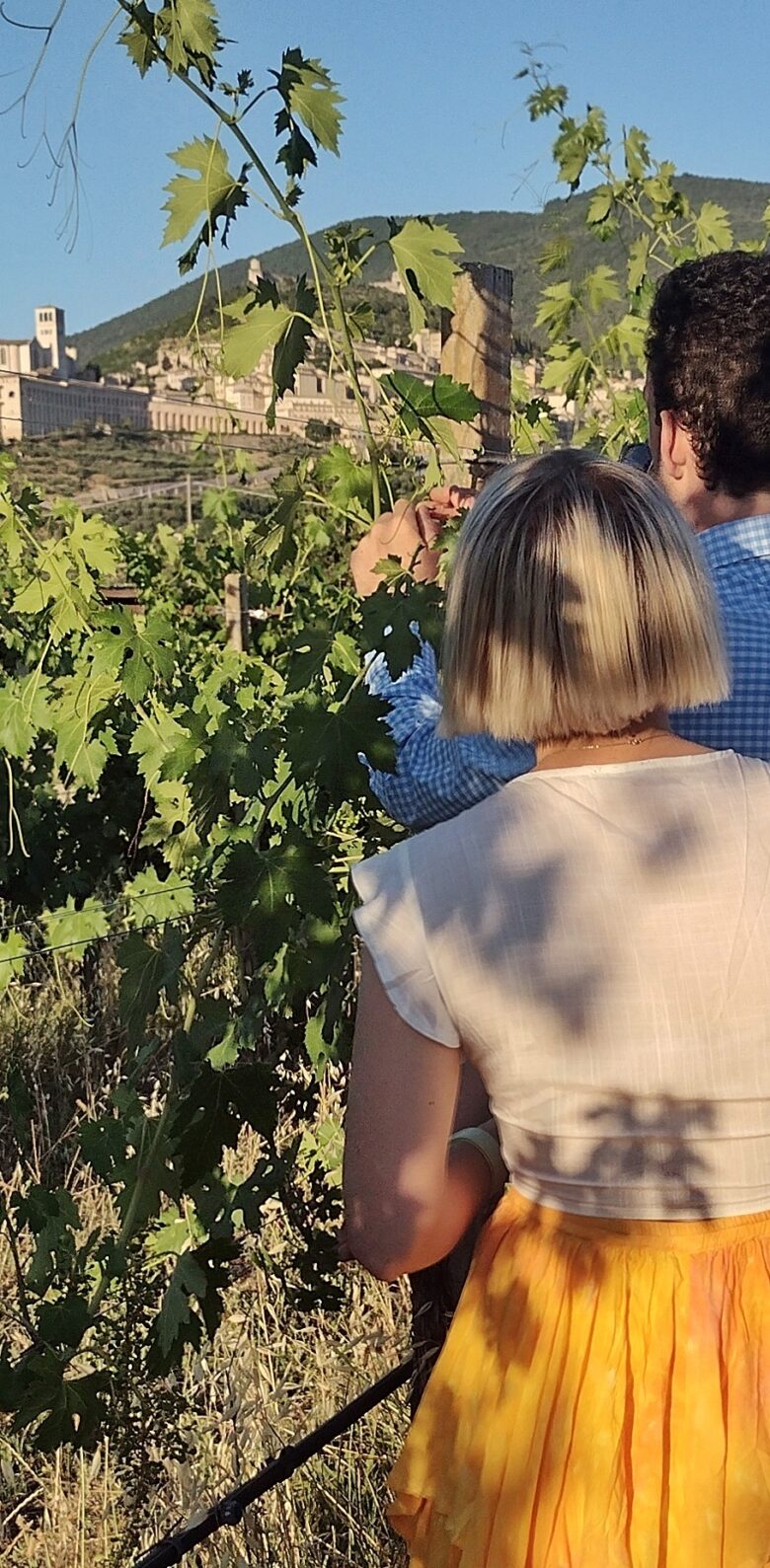 Degustazioni vino e prodotti tipici Assisi