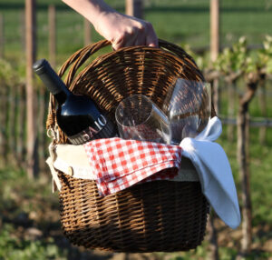 pic nic in vigna degustazioni vino wine tasting Umbria Assisi
