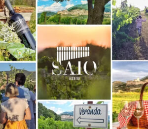cantina saio assisi vino olio prodotti tipici degustazioni