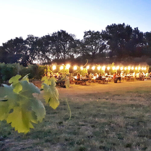 cosa fare Assisi estate