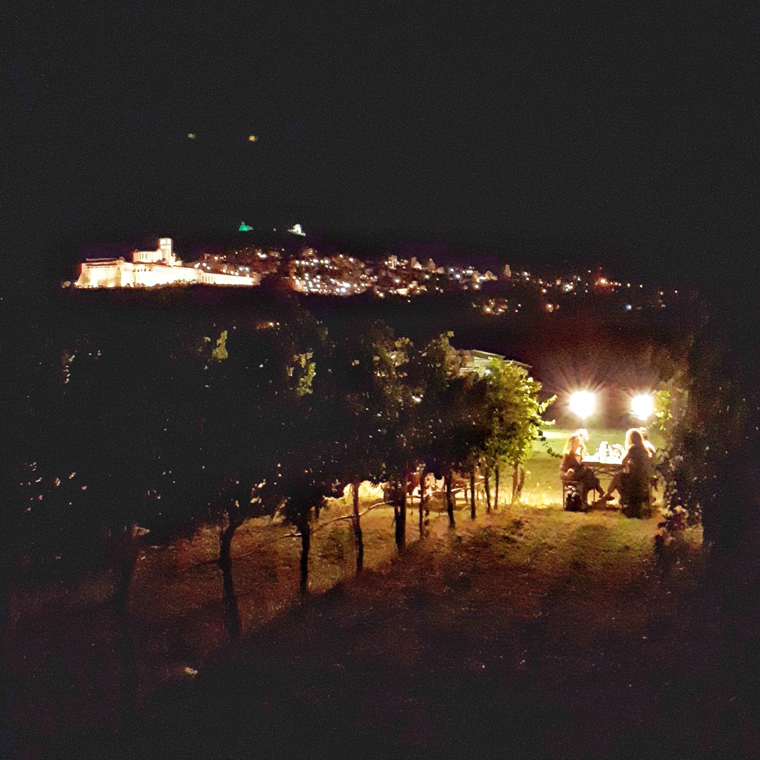 eventi in vigna Assisi Umbria calici di stelle